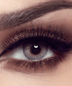 Bella Elite Gray Beige