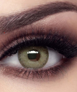 Bella Elite Grey Olive